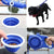 Ultimate Dog Leash With Built-In Water Bottle And Cup - Everything Pet