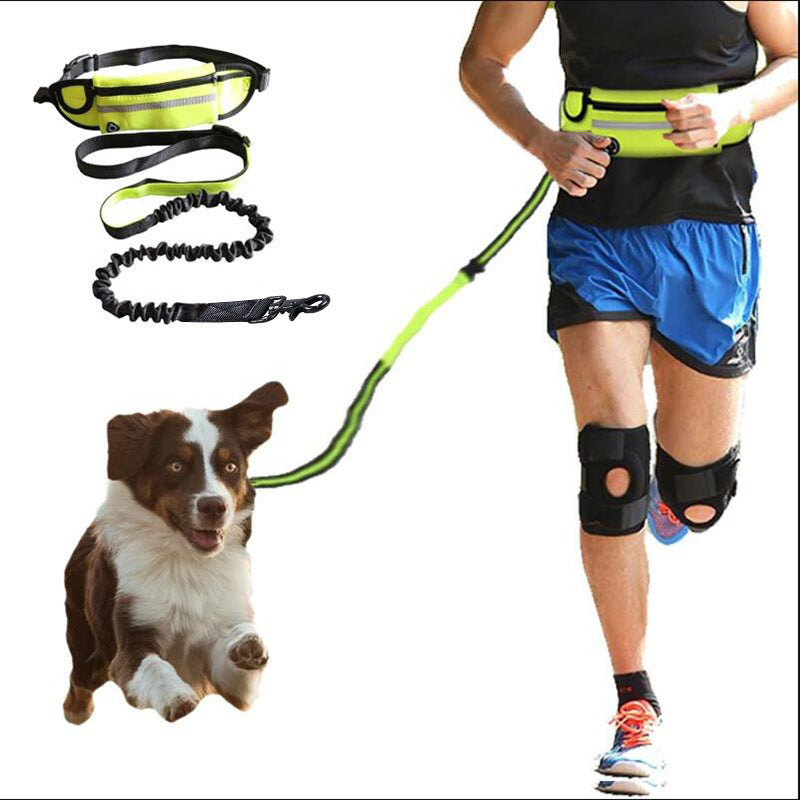 Incredible Hands-Free Leash for Your Gigantic 180lbs Dog - Everything Pet