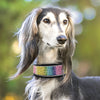 PoochDazzle - Reflective Dog Collar