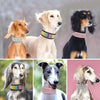 PoochDazzle - Reflective Dog Collar - Everything Pet