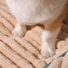 PetPad - Orthopedic dog bed - Everything Pet