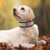 PoochDazzle - Reflective Dog Collar