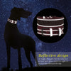 PoochDazzle - Reflective Dog Collar