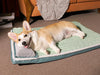 PetPad - Orthopedic dog bed