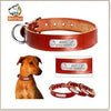 PoochDazzle - Reflective Dog Collar