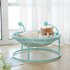 KittyLoft - Skywalks – With Stand - Everything Pet