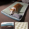 PetPad - Orthopedic dog bed - Everything Pet