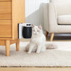 RovoToy - 360° Interactive Cat Toy - Everything Pet