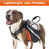 Dual Doggie - Retractable Dog Leash - Everything Pet